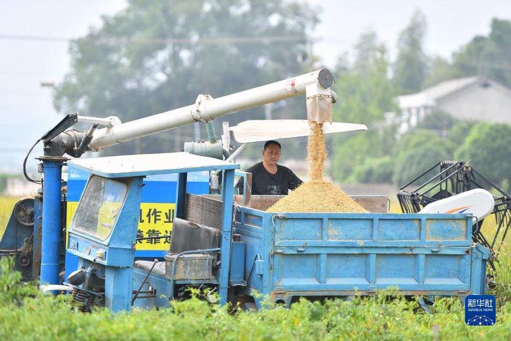 mg游戏大厅